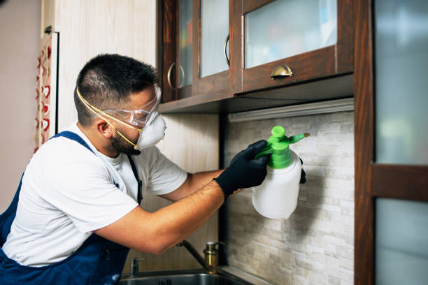 Best Bed Bug Extermination  in Woodbury Center, CT