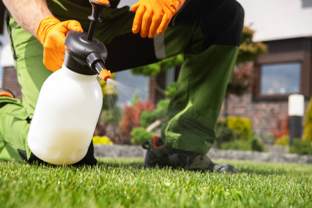Best Pest Control Treatment  in Woodbury Center, CT