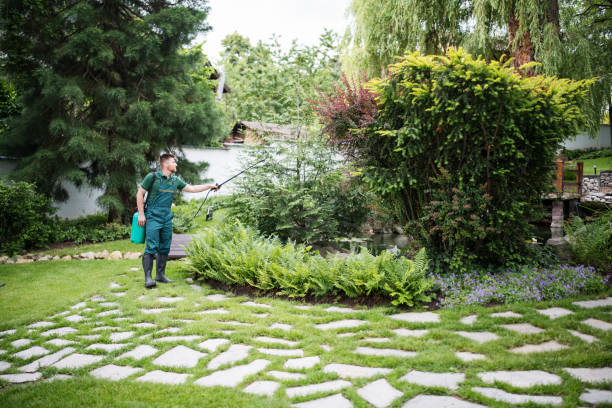 Best Ant Control Services  in Woodbury Center, CT