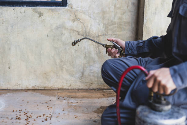 Best Wasp Removal Services  in Woodbury Center, CT